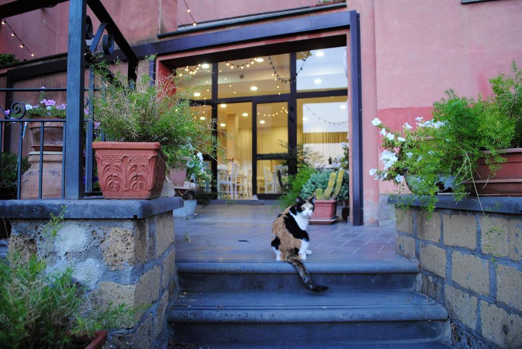 Hotel Tuscania Panoramico Dış mekan fotoğraf